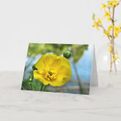 Buttercup at the Pond Note Card カード (黄色い花)