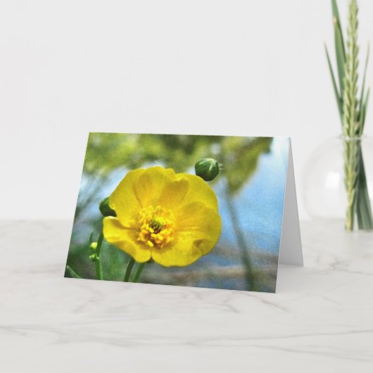 Buttercup at the Pond Note Card カード (正面)