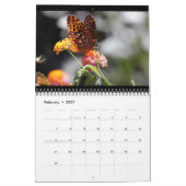 Butterflies 12 Month Calendar カレンダー (2月 2027)