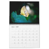 Butterflies 12 Month Calendar カレンダー (3月 2027)