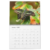 Butterflies  12 Month Wall Calendar 2026 カレンダー (1月 2027)