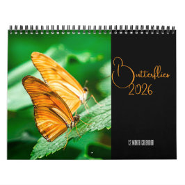 Butterflies 12 Month Wall Calendar 2026 カレンダー