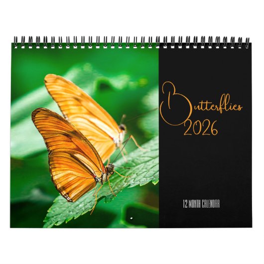 Butterflies  12 Month Wall Calendar 2026 カレンダー (カバー)