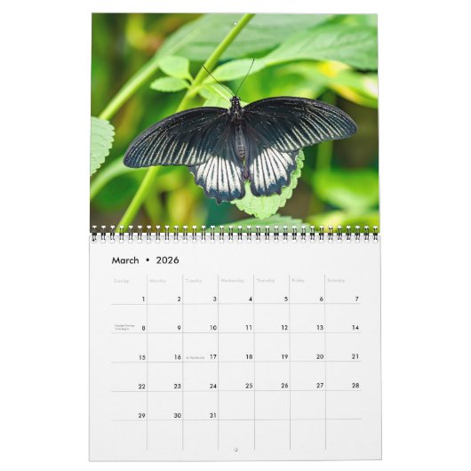 Butterflies  12 Month Wall Calendar 2026 カレンダー (3月 2026)