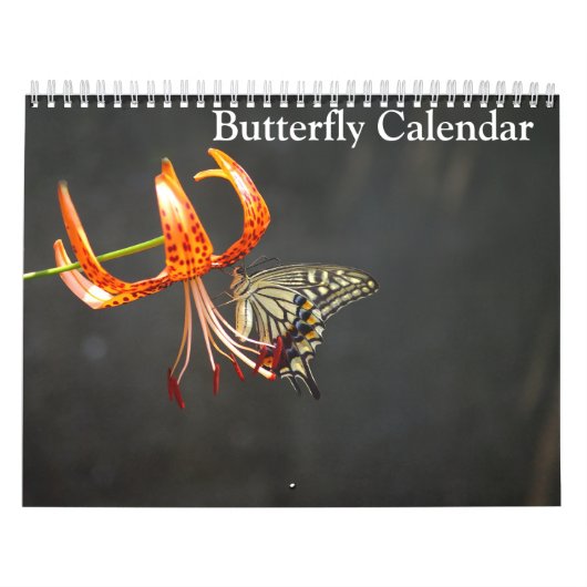 Butterflies 2025 カレンダー (カバー)