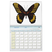 Butterflies 2026 One Year Calendar カレンダー (2月 2027)
