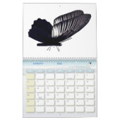 Butterflies 2026 One Year Calendar カレンダー (1月 2026)