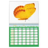 Butterflies 2026 One Year Calendar カレンダー (3月 2026)