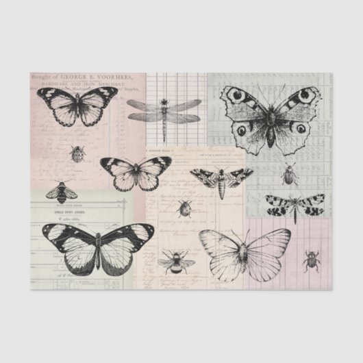 Butterflies and Bugs 薄葉紙 (正面)