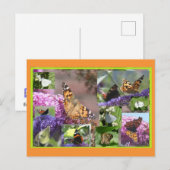 Butterflies in Summer Collage DIY Postcard シーズンポストカード (正面/裏面)