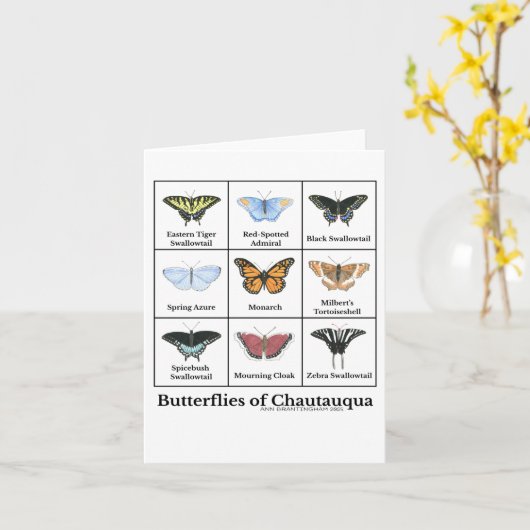 Butterflies of Chautauqua  カード (黄色い花)