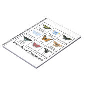 Butterflies of Chautauqua ノートブック (左側)