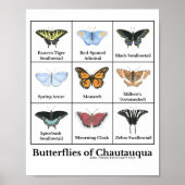 Butterflies of Chautauqua ポスター (正面)
