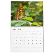 Butterflies of Wonder 2026 Nature Calendar カレンダー (3月 2026)