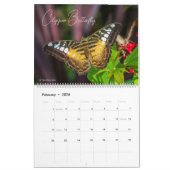 Butterflies of Wonder 2026 Nature Calendar カレンダー (2月 2026)