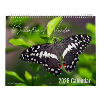 Butterflies of Wonder 2026 Nature Calendar カレンダー