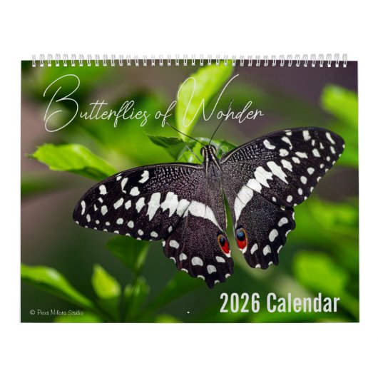 Butterflies of Wonder 2026 Nature Calendar カレンダー (カバー)