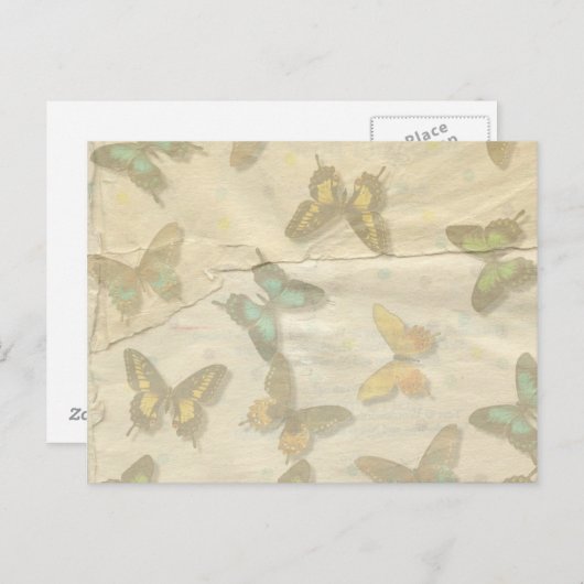 Butterflies Postcard ポストカード (正面/裏面)