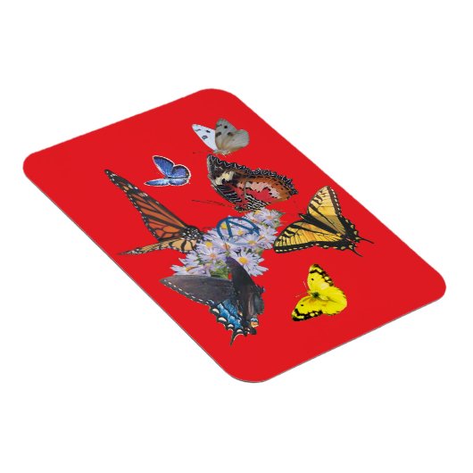 butterflies sobriety symbol rectangle magnet マグネット (右側)