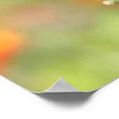 Butterflon Wildflorse, Butterfly Verse聖なる書物、 経典 ポスター (角)