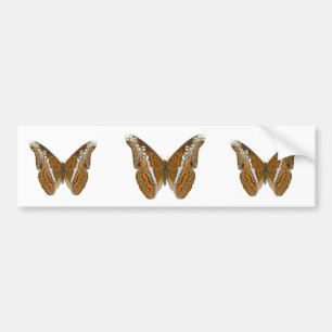 Butterfly海軍大将 バンパーステッカー