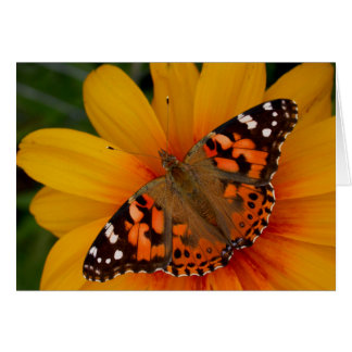 Butterfly色彩の鮮やかな女性