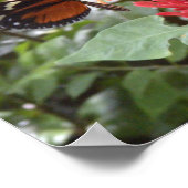 butterfly1ポスター ポスター (角)