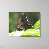 butterfly キャンバスプリント (正面)