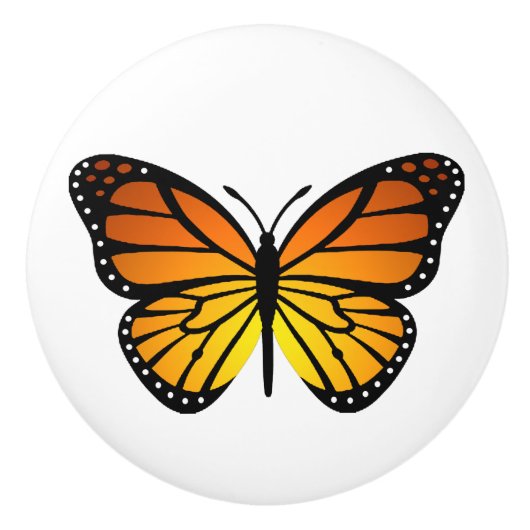 Butterfly セラミックノブ (正面)