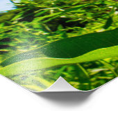 butterfly フォトプリント            (角)