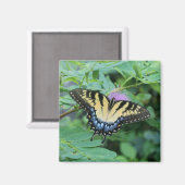 Butterfly マグネット (正面/裏面)