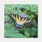 Butterfly マグネット (正面)