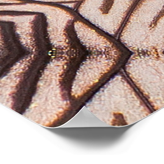 Butterfly, Beautiful seamless pattern made from bu ポスター (角)