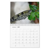 Butterfly Calendar カレンダー (1月 2027)