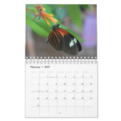 Butterfly Calendar カレンダー (2月 2027)