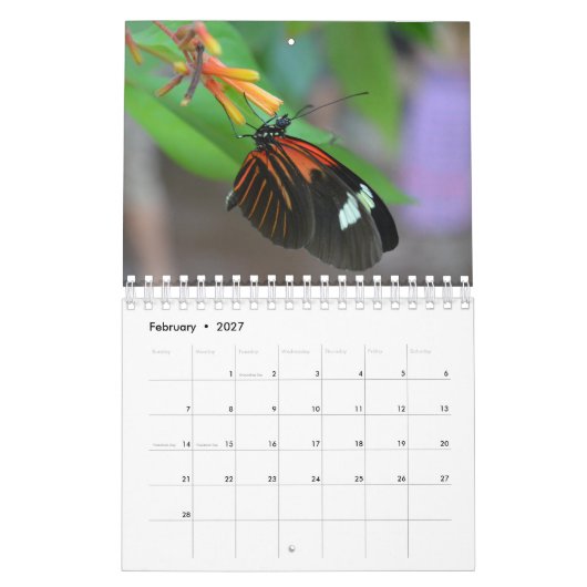 Butterfly Calendar カレンダー (2月 2027)