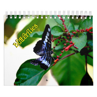 Butterfly Calendar カレンダー
