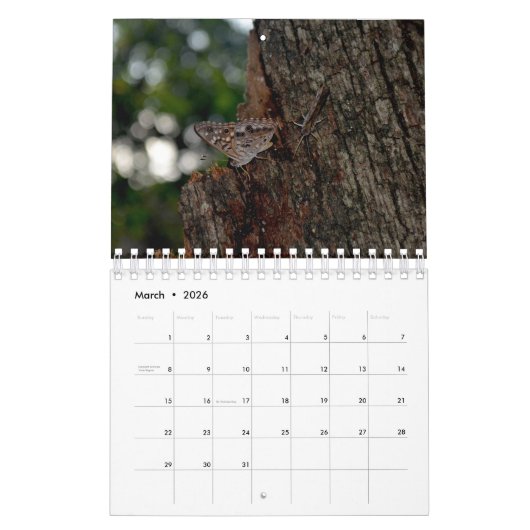 Butterfly Calendar カレンダー (3月 2026)