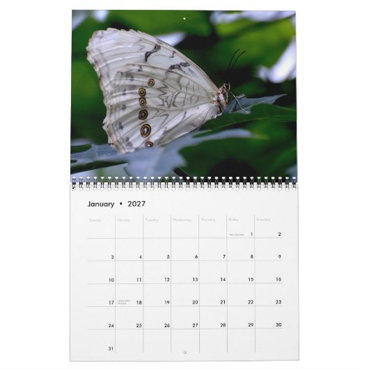 Butterfly Calendar カレンダー (1月 2027)