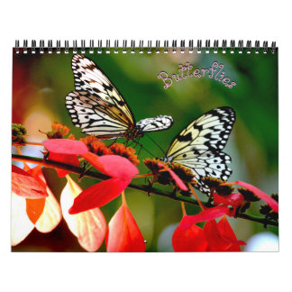 Butterfly Calendar カレンダー