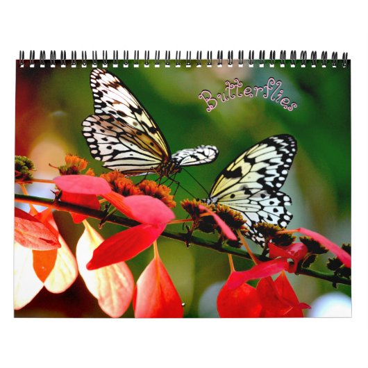 Butterfly Calendar カレンダー (カバー)