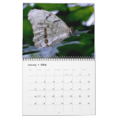 Butterfly Calendar カレンダー (1月 2026)