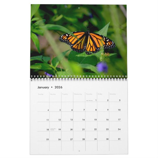 Butterfly Calendar カレンダー (1月 2026)