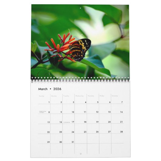 Butterfly Calendar カレンダー (3月 2026)