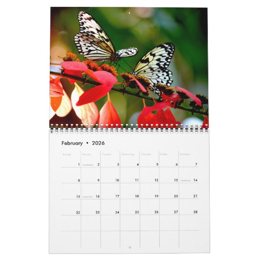 Butterfly Calendar カレンダー (2月 2026)