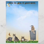 Butterfly, Dragonfly, Raccoon, and Summer Fun (正面)