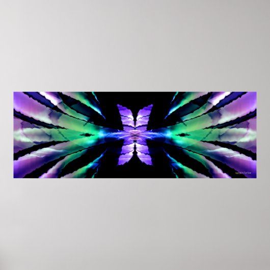 Butterfly Expanse ポスター (正面)