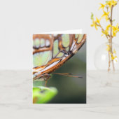Butterfly Face Nature Photography Note カード (黄色い花)