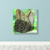 Butterfly Floral  Canvas Print キャンバスプリント (インサイチュ (ウッドフロア))