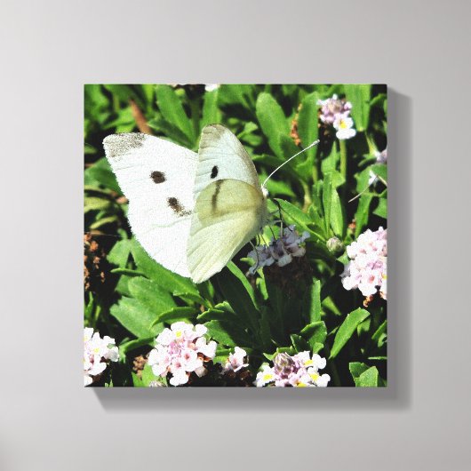 Butterfly Floral  Canvas Print キャンバスプリント (正面)